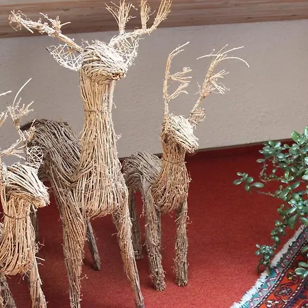 Birkenhof Mit Herz 3* بفرونتن