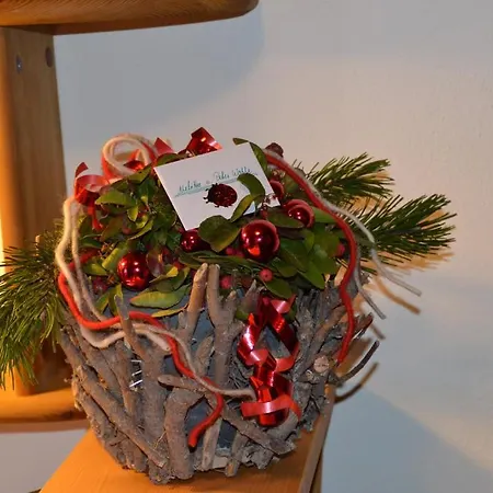 Birkenhof Mit Herz بيت ضيافة 3*